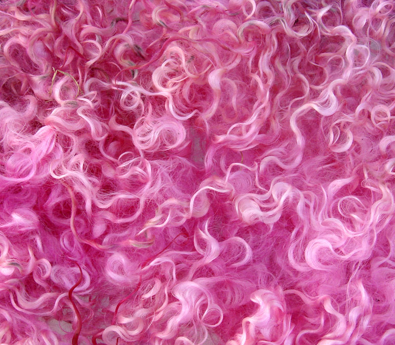 Pink Dyed Wensleydale Curls lock