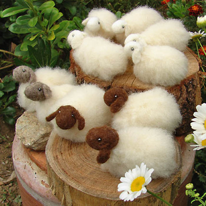 Tiny White wool sheep plusce