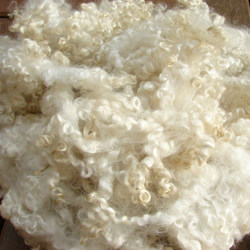 leicester longwool fleece curly white